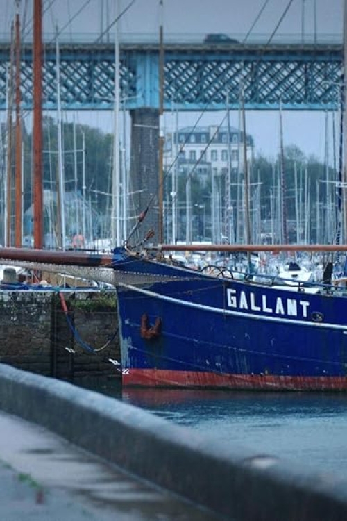 À l'école de l'universel: Germaine Le Goff, l'histoire d'une pionnière