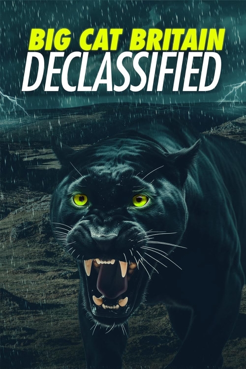 Panthera Britannia Declassified/Big Cat Britain Declassified