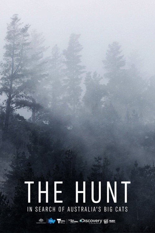 The Hunt: In Search of Australia's Big Cats