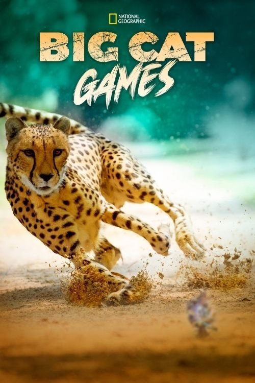 Big Cat Week Big Cat Games